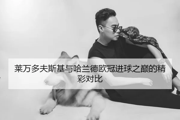 莱万多夫斯基与哈兰德欧冠进球之巅的精彩对比